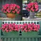 4PCS Home Decor Fake Plants Artificial Flowers Artificial Geraniums Outdoor Fake Flowers Artificial Flowers Fake Silk Bouquet